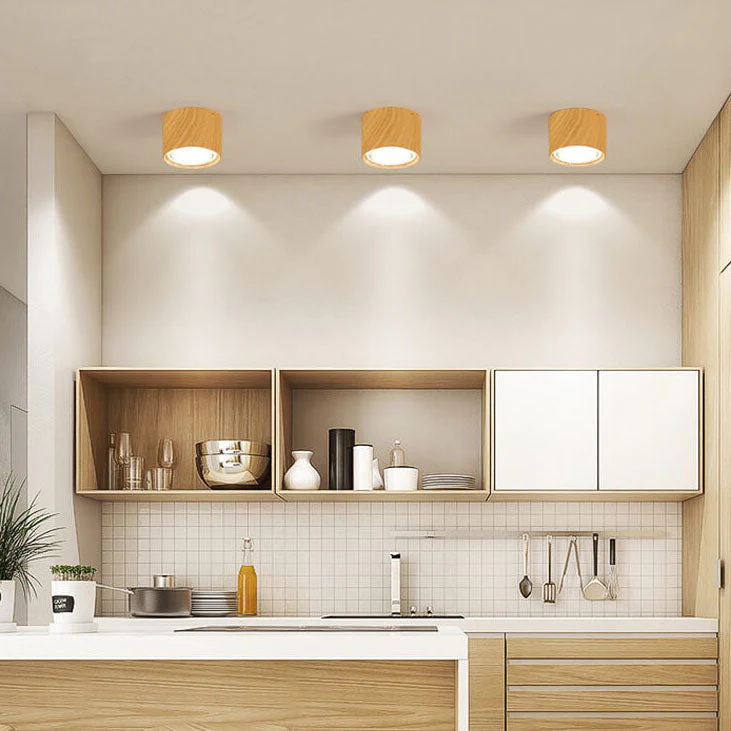 Frendorf | LED Plafondspot Cilinder | Verstelbaar Spotlight Design