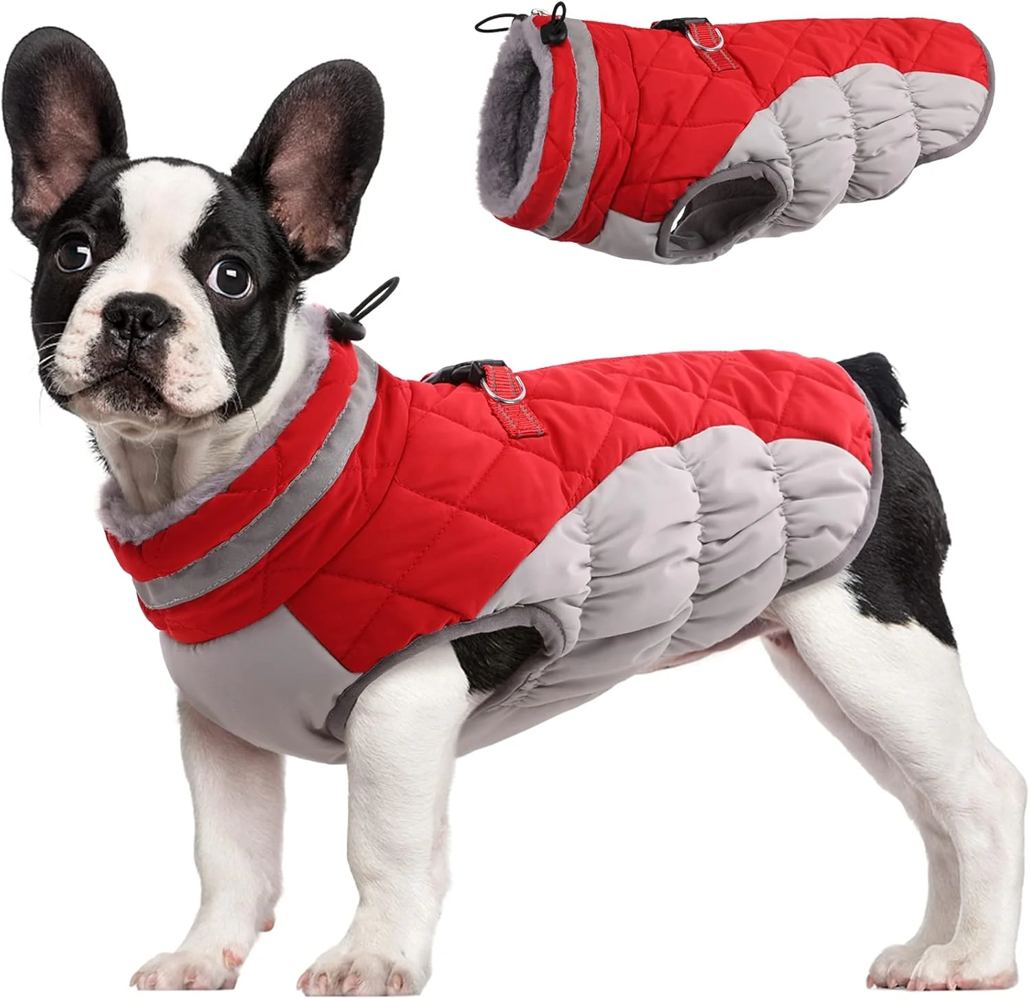 SafeWalk Winterharnas Jas – Waterdichte hondenjas met reflectie en fleecevoering