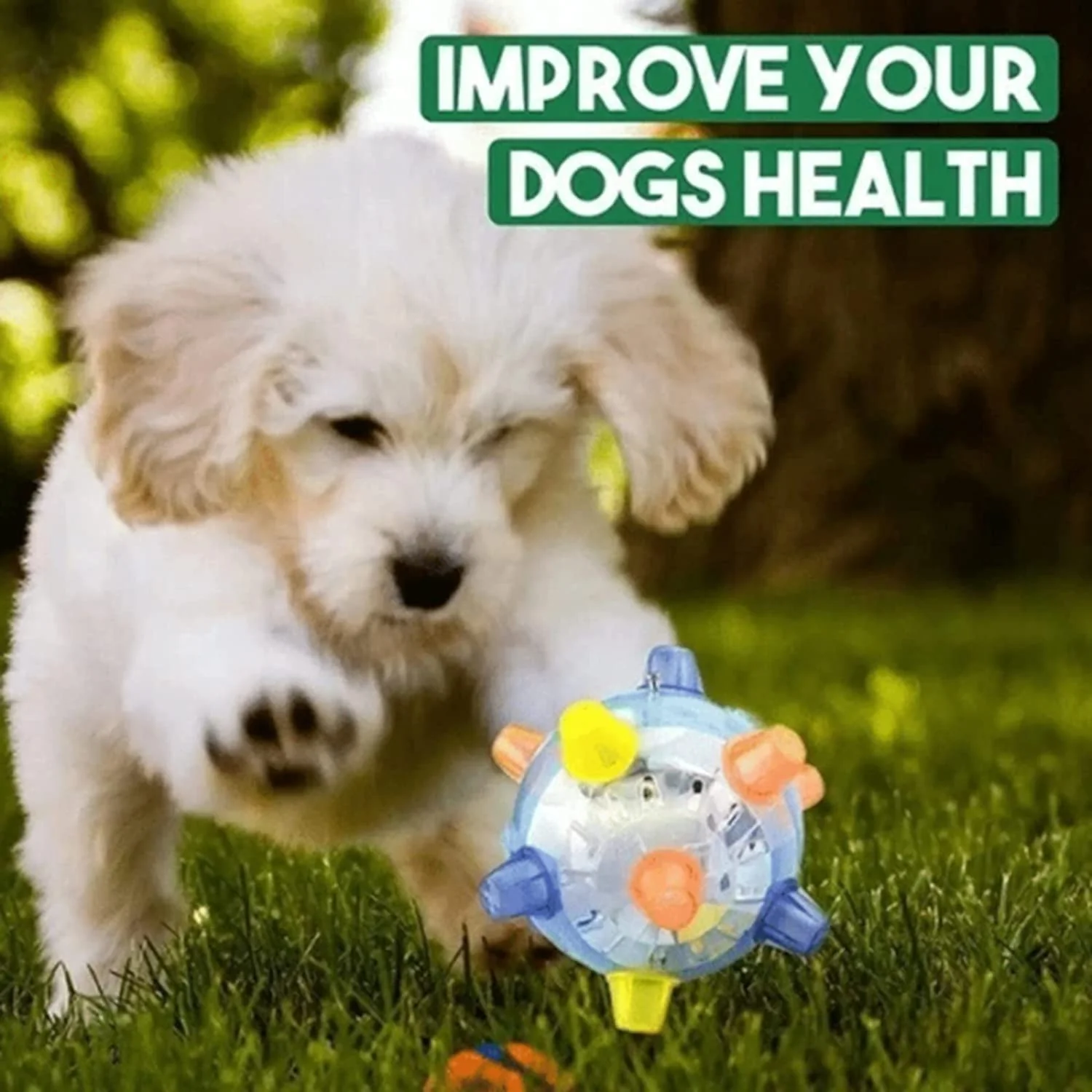 1+1 GRATIS | BounceBuddy – De interactieve springbal voor honden!