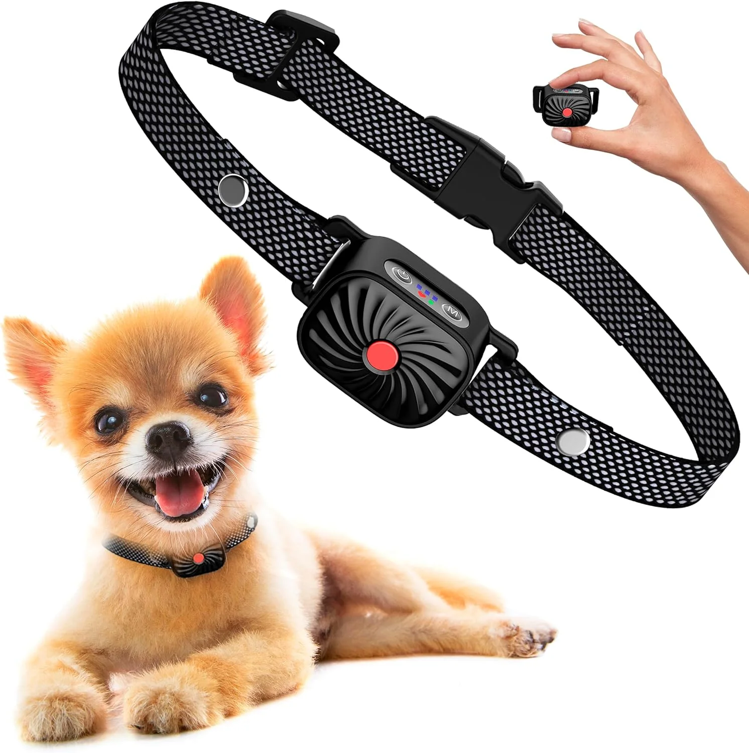 Antiblaashalsband Kleine Honden Veiligheid