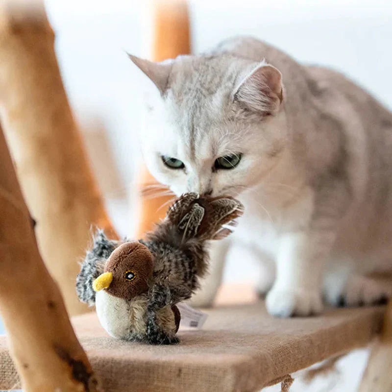 BirdyPurr – De veilige speelkameraad voor uw kat!