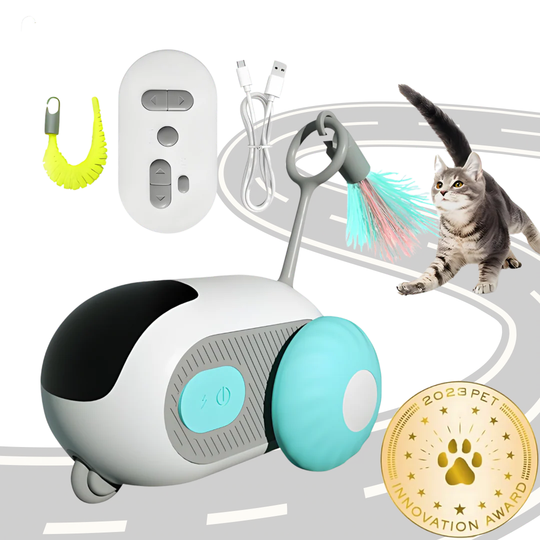 PurrChase | Interactief kattenspeeltje voor langdurig speelplezier