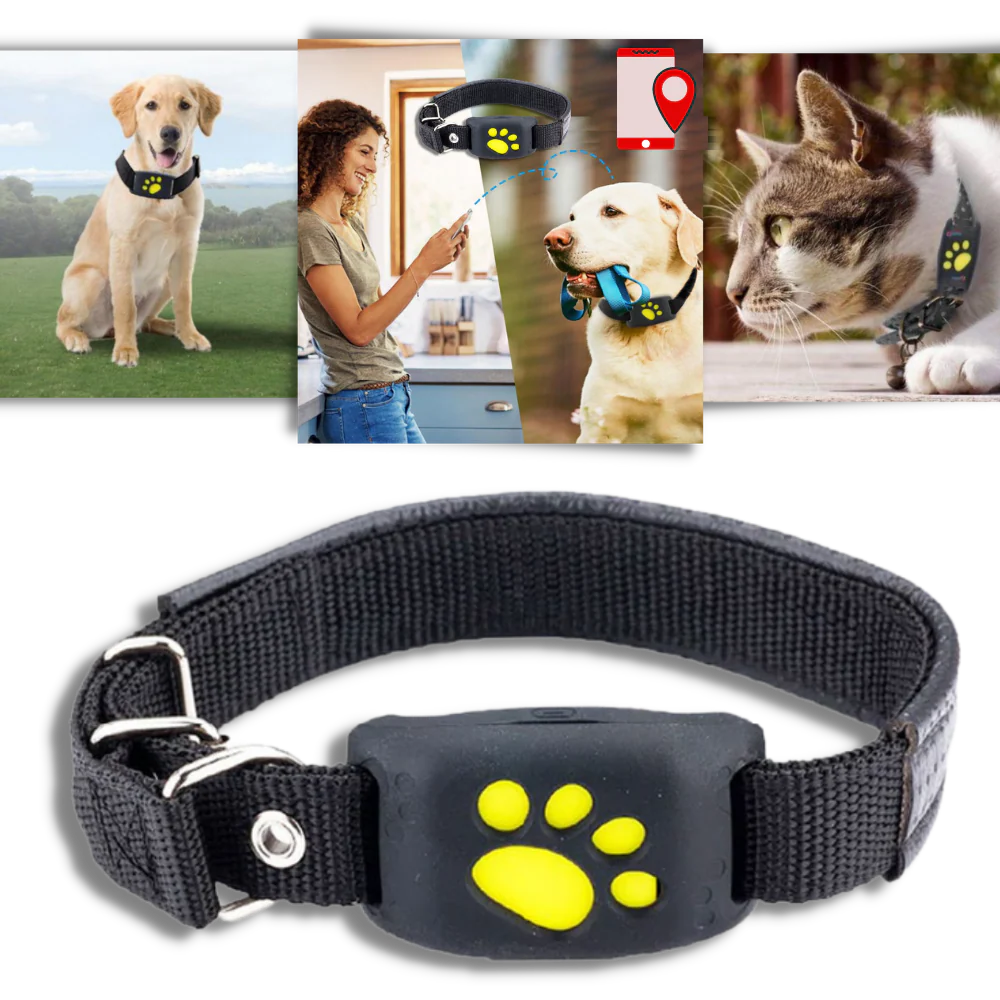 GPS Volgband voor Huisdieren
