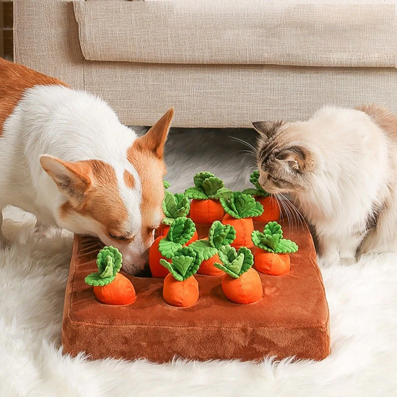 SniffPatch – Het wortelveld voor slimme viervoeters!