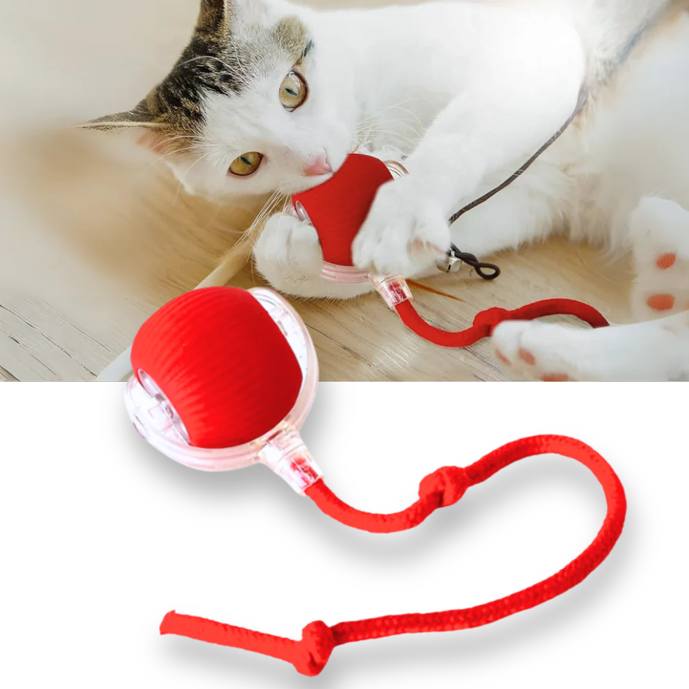 Slim Interactief Kattenbal Speelgoed